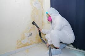 Best Mold Removal for HVAC Installations  in South Brooksville, FL